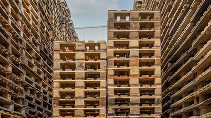 P1023869 Corporatif - RED Media