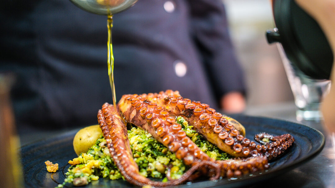 Projetos - RED Media